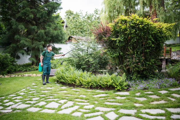 Best Wasp Removal Services  in Cortland, NY