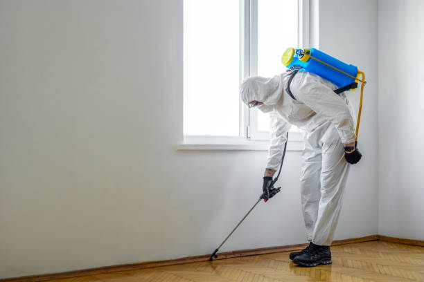 Flea Control Services in Cortland, NY
