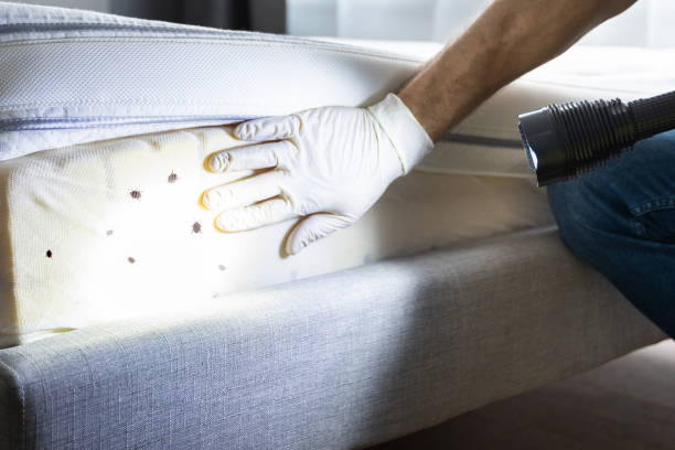 Best Emergency Pest Control  in Cortland, NY
